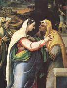 Sebastiano del Piombo The Visitation (mk05) oil painting reproduction